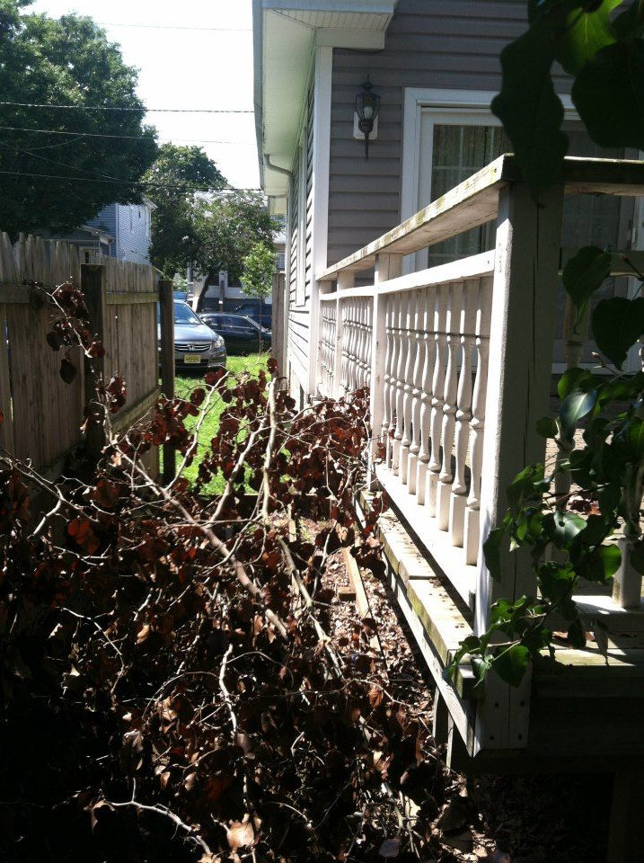 photo 196811_10151016925397285_435652468_n.jpg